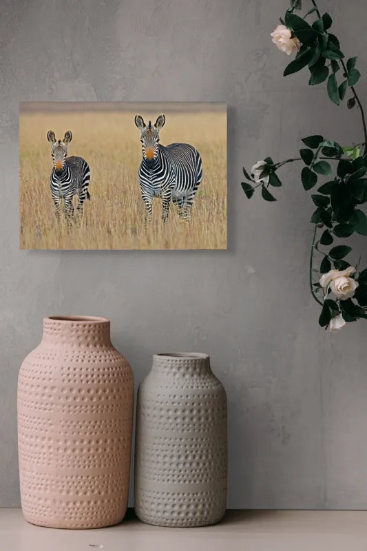 Tablou Canvas, "zebre pe câmpie uscată", Nu pot să îți spun cine sunt persoanele sau animalele din imagine., 54 x 39 cm – poza 8