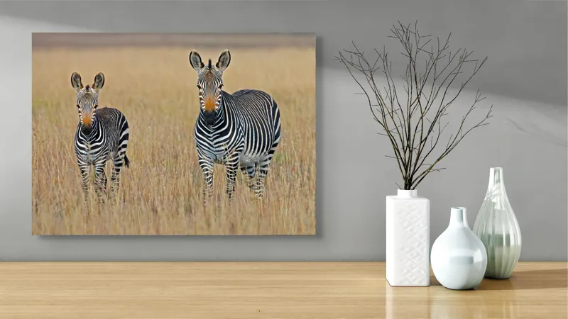 Tablou Canvas, "zebre pe câmpie uscată", 70 x 50 cm – poza 3