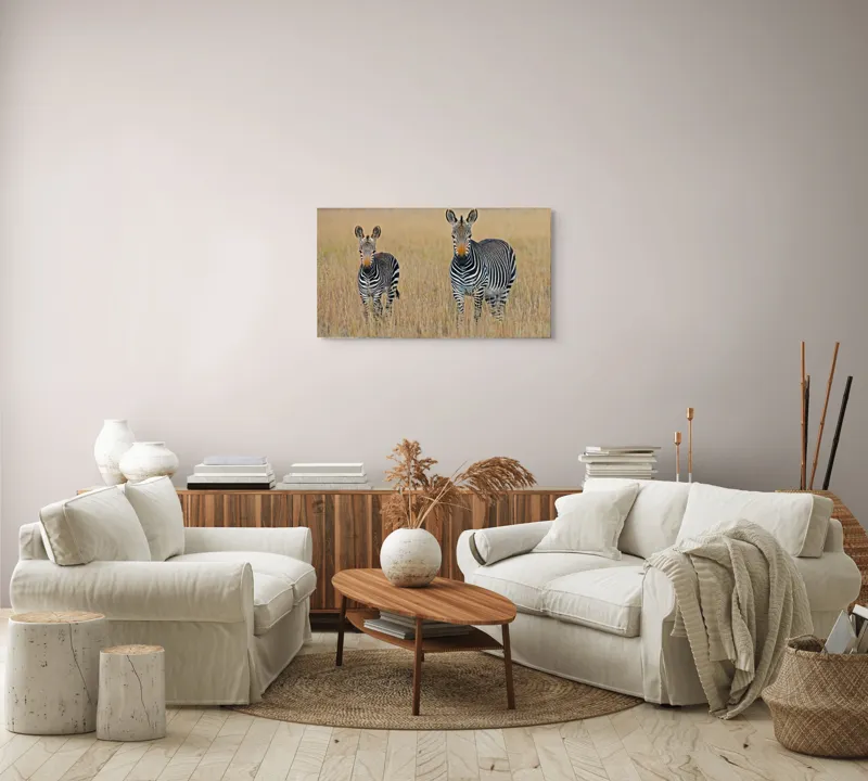 Tablou Canvas, "zebre pe câmpie uscată", Nu pot să îți spun cine sunt persoanele sau animalele din imagine., 90 x 50 cm – poza 4