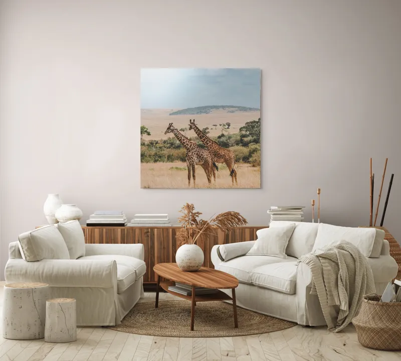 Tablou Canvas, "Grațioasele girafe în savană africană", Giraffe, Savannah, Majestic, Tall, Horizon, Wilderness, Nature, Graceful, 100 x 100 cm – poza 3