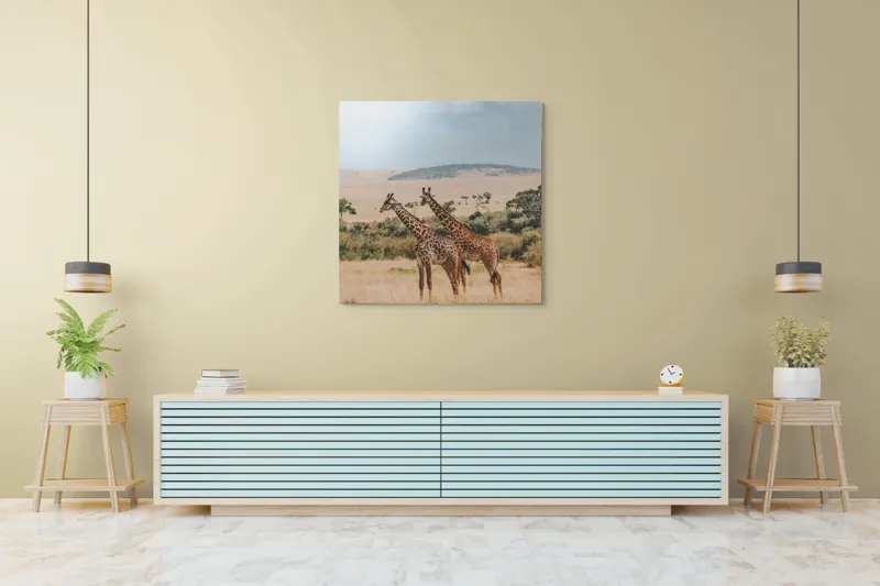 Tablou Canvas, "Grațioasele girafe în savană africană", Giraffe, Savannah, Majestic, Tall, Horizon, Wilderness, Nature, Graceful, 100 x 100 cm – poza 5