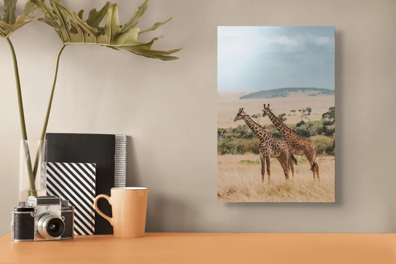 Tablou Canvas, "Grațioasele girafe în savană africană", Giraffe, Savannah, Majestic, Tall, Horizon, Wilderness, Nature, Graceful, 26 x 39 cm – poza 3