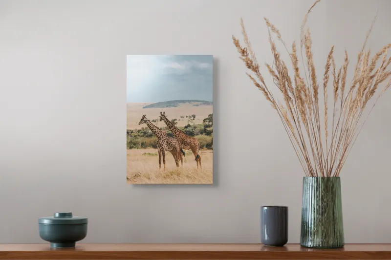 Tablou Canvas, "Grațioasele girafe în savană africană", Giraffe, Savannah, Majestic, Tall, Horizon, Wilderness, Nature, Graceful, 26 x 39 cm – poza 5