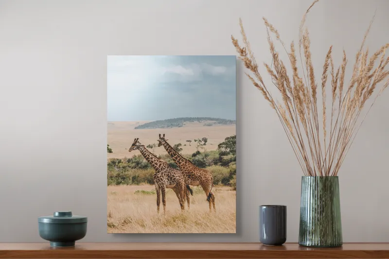 Tablou Canvas, "Grațioasele girafe în savană africană", Giraffe, Savannah, Majestic, Tall, Horizon, Wilderness, Nature, Graceful, 39 x 54 cm – poza 3