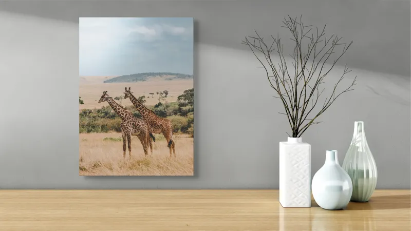 Tablou Canvas, "Grațioasele girafe în savană africană", Giraffe, Savannah, Majestic, Tall, Horizon, Wilderness, Nature, Graceful, 39 x 54 cm – poza 4