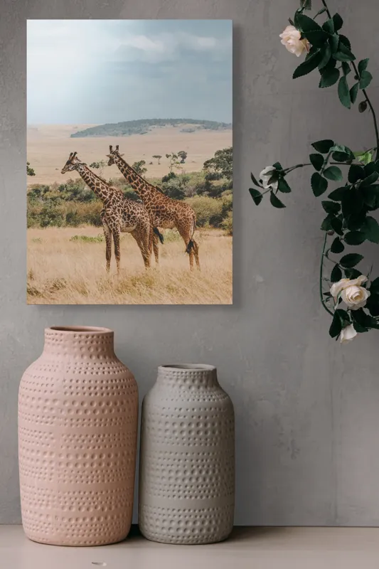 Tablou Canvas, "Grațioasele girafe în savană africană", Giraffe, Savannah, Majestic, Tall, Horizon, Wilderness, Nature, Graceful, 39 x 54 cm – poza 6