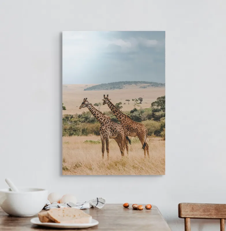 Tablou Canvas, "Grațioasele girafe în savană africană", Giraffe, Savannah, Majestic, Tall, Horizon, Wilderness, Nature, Graceful, 50 x 70 cm – poza 3