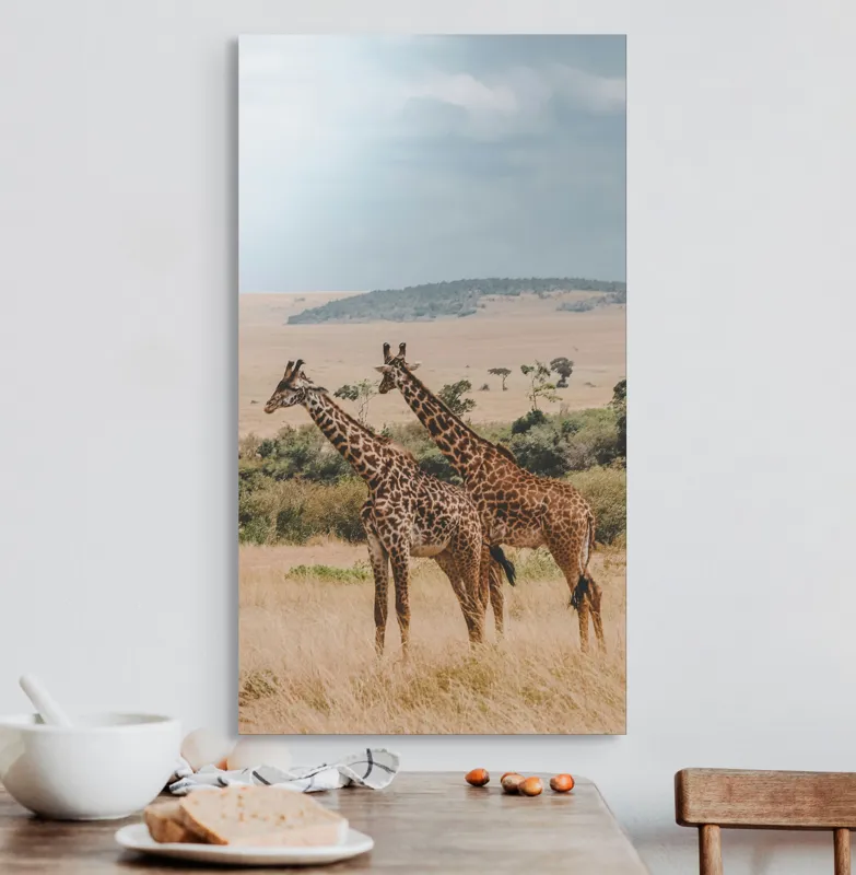 Tablou Canvas, "Grațioasele girafe în savană africană", Giraffe, Savannah, Majestic, Tall, Horizon, Wilderness, Nature, Graceful, 50 x 90 cm – poza 3
