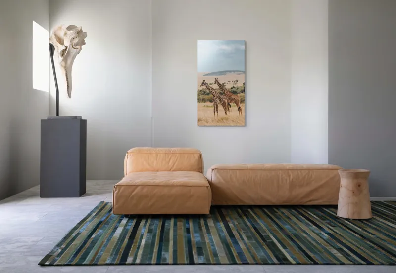 Tablou Canvas, "Grațioasele girafe în savană africană", Giraffe, Savannah, Majestic, Tall, Horizon, Wilderness, Nature, Graceful, 50 x 90 cm – poza 5