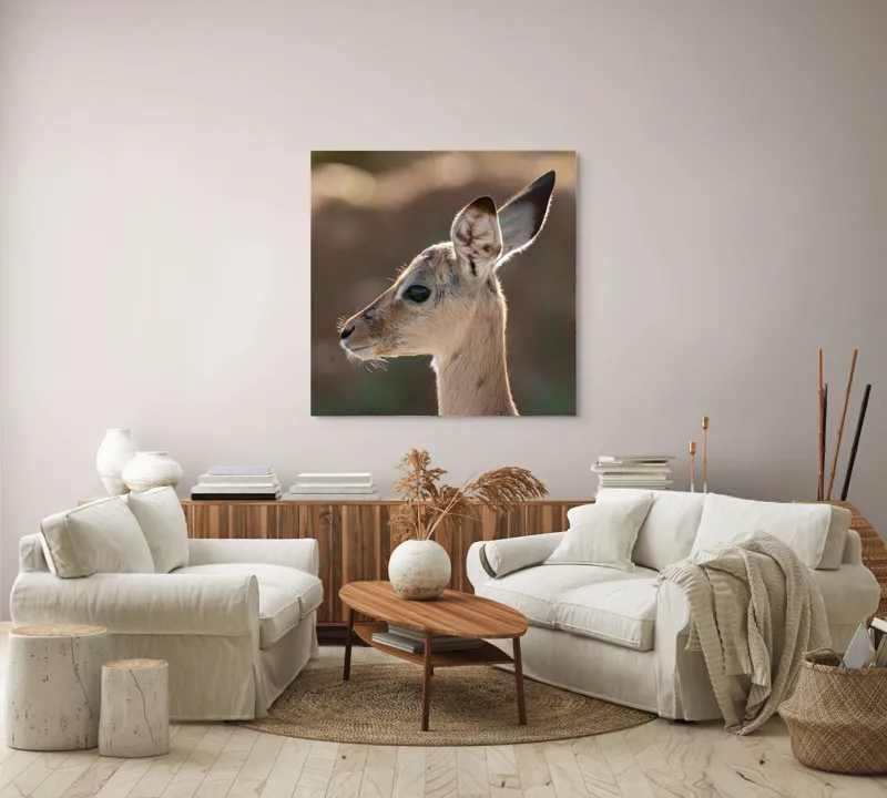 Tablou Canvas, "Silueta grațioasă a puiului de gazelă", Nu pot să spun ce animal este în imagine, dar pare să fie tânăr și cu urechi mari., 100 x 100 cm – poza 3