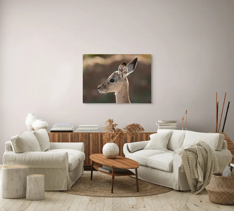 Tablou Canvas, "Silueta grațioasă a puiului de gazelă", Nu pot să spun ce animal este în imagine, dar pare să fie tânăr și cu urechi mari., 100 x 70 cm – poza 3