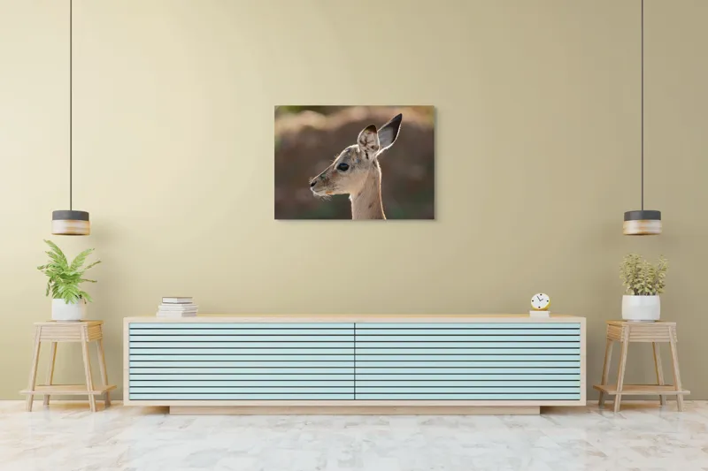 Tablou Canvas, "Silueta grațioasă a puiului de gazelă", Nu pot să spun ce animal este în imagine, dar pare să fie tânăr și cu urechi mari., 100 x 70 cm – poza 4