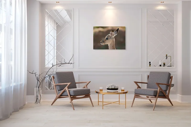 Tablou Canvas, "Silueta grațioasă a puiului de gazelă", Nu pot să spun ce animal este în imagine, dar pare să fie tânăr și cu urechi mari., 100 x 70 cm – poza 5