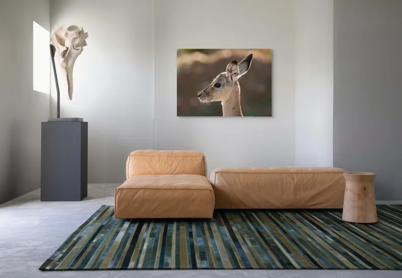 Tablou Canvas, "Silueta grațioasă a puiului de gazelă", Nu pot să spun ce animal este în imagine, dar pare să fie tânăr și cu urechi mari., 100 x 70 cm – poza 7