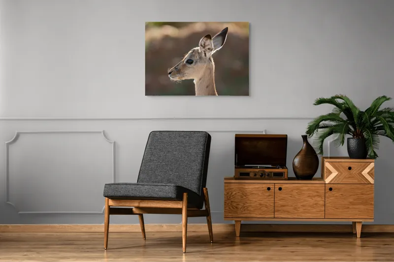 Tablou Canvas, "Silueta grațioasă a puiului de gazelă", Nu pot să spun ce animal este în imagine, dar pare să fie tânăr și cu urechi mari., 100 x 70 cm – poza 8