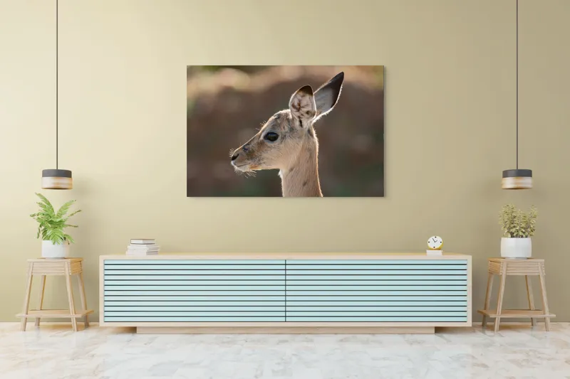 Tablou Canvas, "Silueta grațioasă a puiului de gazelă", 150 x 100 cm – poza 6