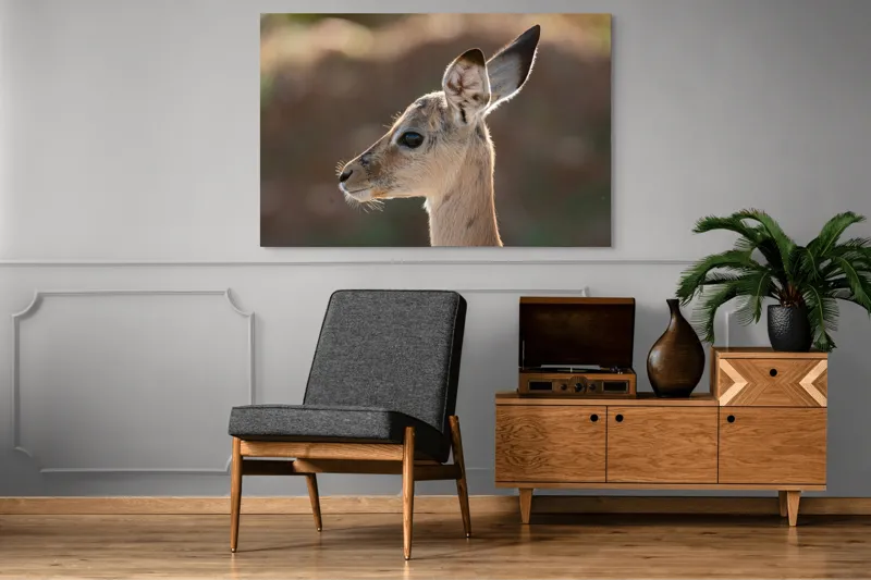 Tablou Canvas, "Silueta grațioasă a puiului de gazelă", 150 x 100 cm – poza 8
