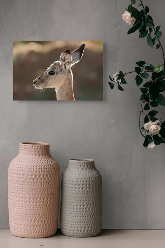 Tablou Canvas, "Silueta grațioasă a puiului de gazelă", Nu pot să spun ce animal este în imagine, dar pare să fie tânăr și cu urechi mari., 39 x 26 cm – poza 4