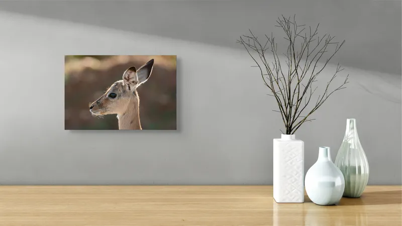 Tablou Canvas, "Silueta grațioasă a puiului de gazelă", Nu pot să spun ce animal este în imagine, dar pare să fie tânăr și cu urechi mari., 39 x 26 cm – poza 8