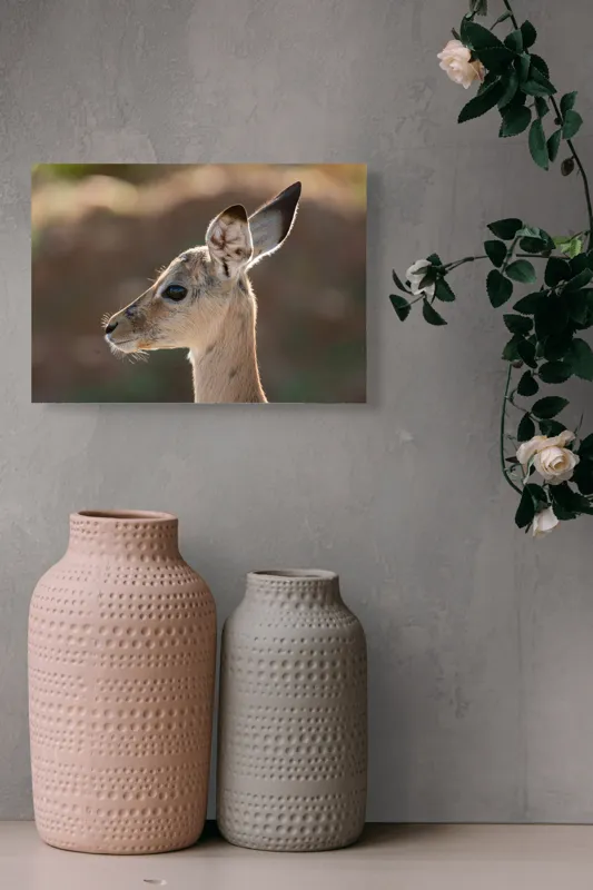 Tablou Canvas, "Silueta grațioasă a puiului de gazelă", Nu pot să spun ce animal este în imagine, dar pare să fie tânăr și cu urechi mari., 54 x 39 cm – poza 8