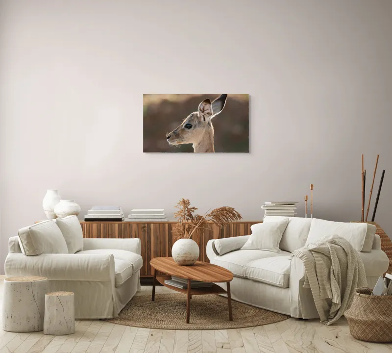 Tablou Canvas, "Silueta grațioasă a puiului de gazelă", Nu pot să spun ce animal este în imagine, dar pare să fie tânăr și cu urechi mari., 90 x 50 cm – poza 4