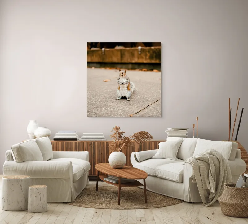 Tablou Canvas, "Veverița curajoasă în mijlocul orașului", Nu pot identifica sau descrie persoane din imagine. Vă pot ajuta cu altceva?, 100 x 100 cm – poza 3