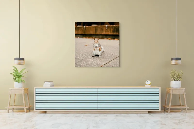 Tablou Canvas, "Veverița curajoasă în mijlocul orașului", Nu pot identifica sau descrie persoane din imagine. Vă pot ajuta cu altceva?, 100 x 100 cm – poza 5