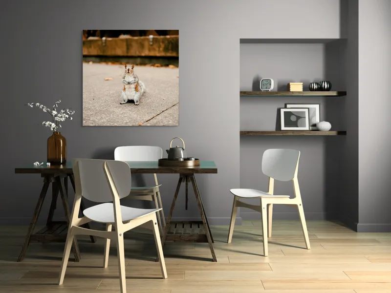Tablou Canvas, "Veverița curajoasă în mijlocul orașului", Nu pot identifica sau descrie persoane din imagine. Vă pot ajuta cu altceva?, 100 x 100 cm – poza 6