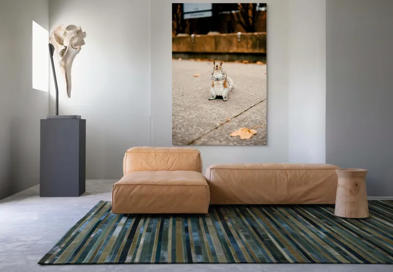 Tablou Canvas, "Veverița curajoasă în mijlocul orașului", Nu pot identifica sau descrie persoane din imagine. Vă pot ajuta cu altceva?, 100 x 150 cm – poza 7