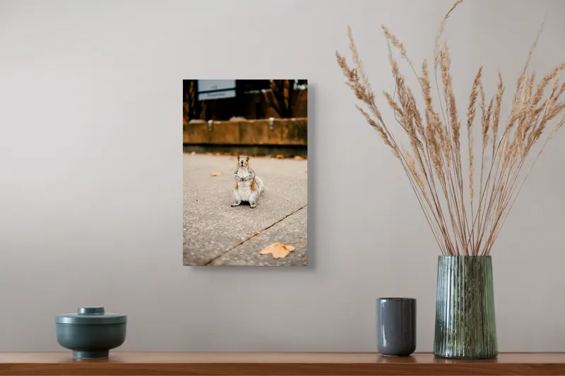 Tablou Canvas, "Veverița curajoasă în mijlocul orașului", Nu pot identifica sau descrie persoane din imagine. Vă pot ajuta cu altceva?, 26 x 39 cm – poza 5