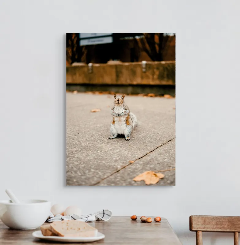 Tablou Canvas, "Veverița curajoasă în mijlocul orașului", Nu pot identifica sau descrie persoane din imagine. Vă pot ajuta cu altceva?, 50 x 70 cm – poza 3