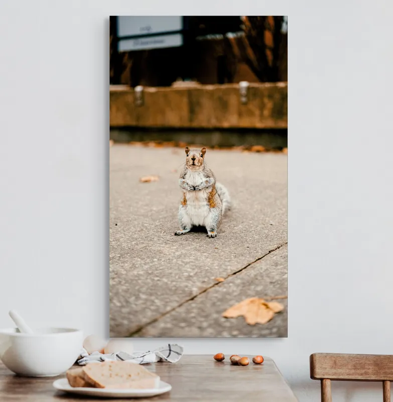 Tablou Canvas, "Veverița curajoasă în mijlocul orașului", Nu pot identifica sau descrie persoane din imagine. Vă pot ajuta cu altceva?, 50 x 90 cm – poza 3
