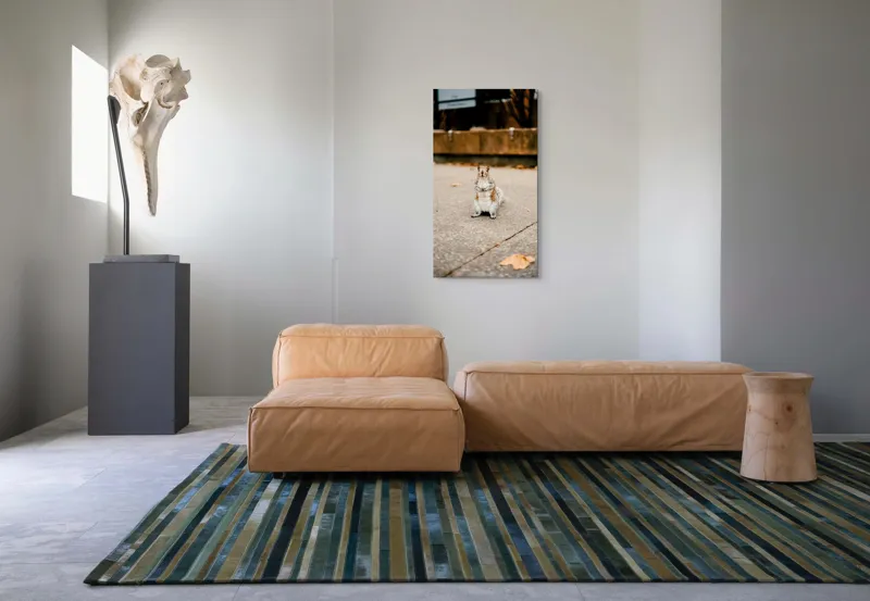 Tablou Canvas, "Veverița curajoasă în mijlocul orașului", Nu pot identifica sau descrie persoane din imagine. Vă pot ajuta cu altceva?, 50 x 90 cm – poza 5