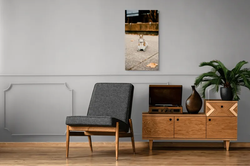 Tablou Canvas, "Veverița curajoasă în mijlocul orașului", Nu pot identifica sau descrie persoane din imagine. Vă pot ajuta cu altceva?, 50 x 90 cm – poza 8