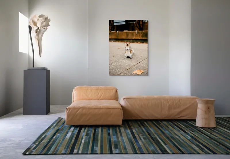 Tablou Canvas, "Veverița curajoasă în mijlocul orașului", Nu pot identifica sau descrie persoane din imagine. Vă pot ajuta cu altceva?, 70 x 100 cm – poza 7