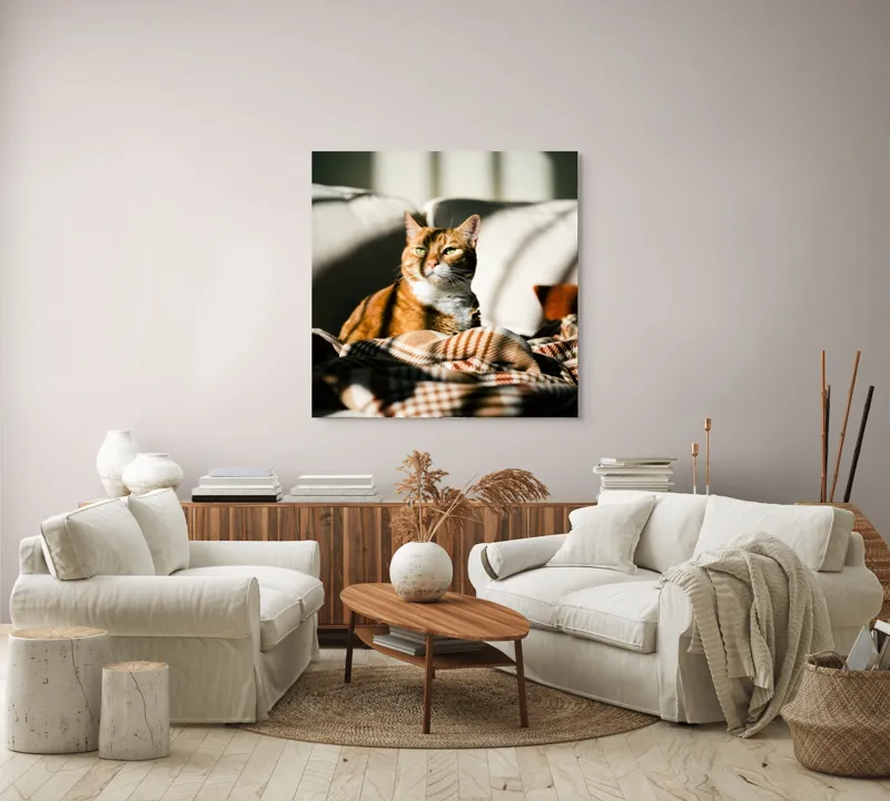 Tablou Canvas, "Pisica torcând la soare pe canapea", Pisică, Drăgălașă, Șezând, Canapea, Lumini, Umbre, Blană, Privire, Plăpumioară, 100 x 100 cm – poza 3