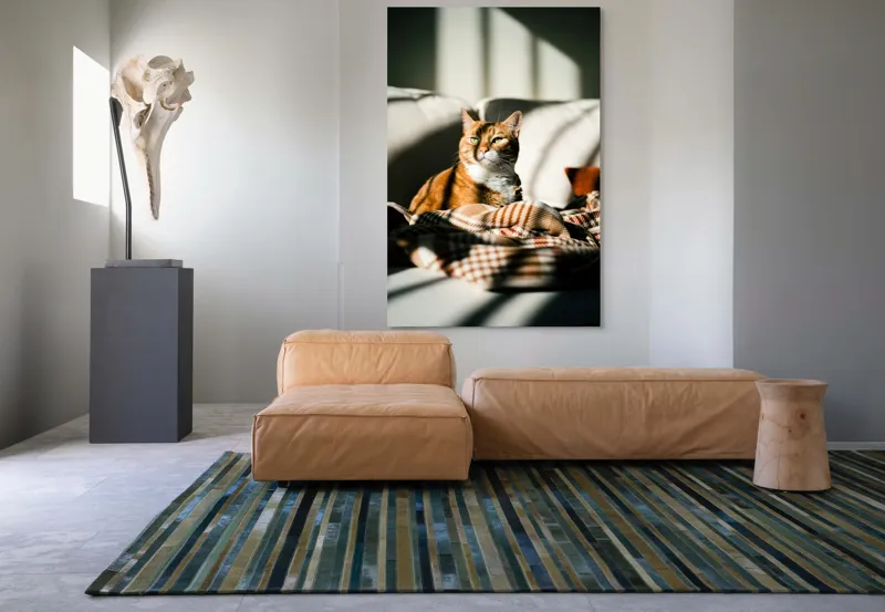 Tablou Canvas, "Pisica torcând la soare pe canapea", Pisică, Drăgălașă, Șezând, Canapea, Lumini, Umbre, Blană, Privire, Plăpumioară, 100 x 150 cm – poza 7