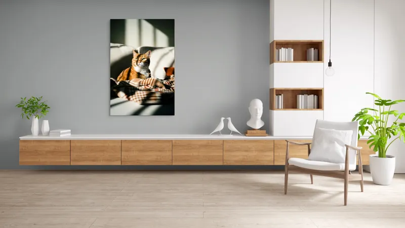 Tablou Canvas, "Pisica torcând la soare pe canapea", Pisică, Drăgălașă, Șezând, Canapea, Lumini, Umbre, Blană, Privire, Plăpumioară, 100 x 150 cm – poza 8