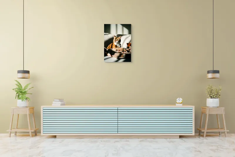Tablou Canvas, "Pisica torcând la soare pe canapea", Pisică, Drăgălașă, Șezând, Canapea, Lumini, Umbre, Blană, Privire, Plăpumioară, 50 x 70 cm – poza 6