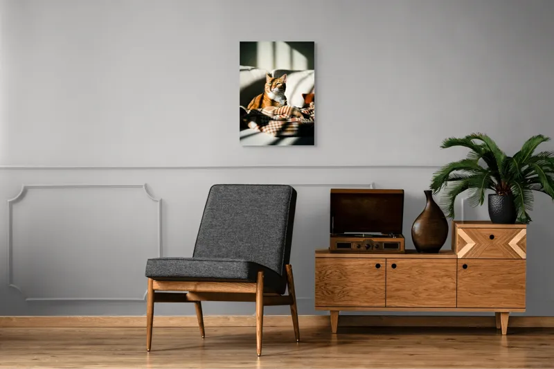 Tablou Canvas, "Pisica torcând la soare pe canapea", Pisică, Drăgălașă, Șezând, Canapea, Lumini, Umbre, Blană, Privire, Plăpumioară, 50 x 70 cm – poza 8