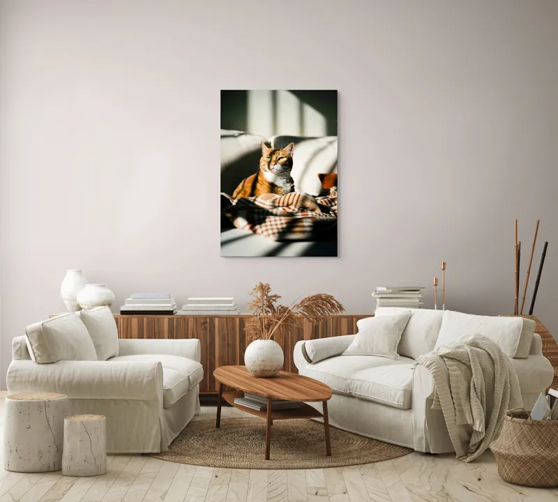 Tablou Canvas, "Pisica torcând la soare pe canapea", Pisică, Drăgălașă, Șezând, Canapea, Lumini, Umbre, Blană, Privire, Plăpumioară, 70 x 100 cm – poza 4