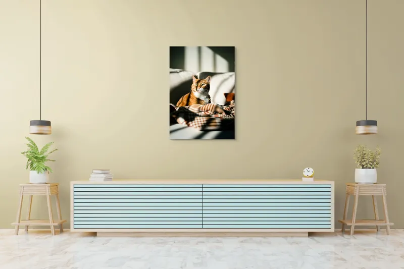 Tablou Canvas, "Pisica torcând la soare pe canapea", Pisică, Drăgălașă, Șezând, Canapea, Lumini, Umbre, Blană, Privire, Plăpumioară, 70 x 100 cm – poza 5