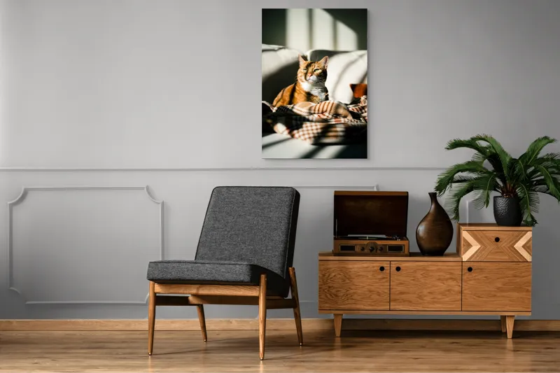 Tablou Canvas, "Pisica torcând la soare pe canapea", Pisică, Drăgălașă, Șezând, Canapea, Lumini, Umbre, Blană, Privire, Plăpumioară, 70 x 100 cm – poza 6