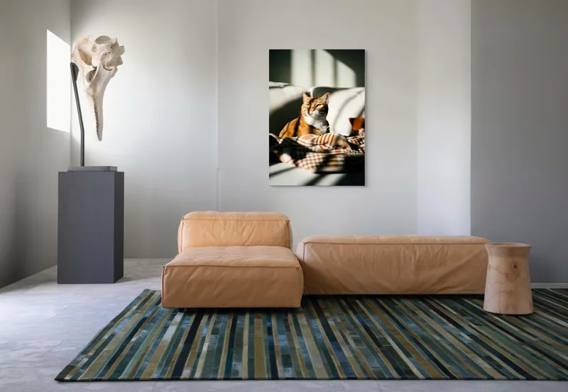 Tablou Canvas, "Pisica torcând la soare pe canapea", Pisică, Drăgălașă, Șezând, Canapea, Lumini, Umbre, Blană, Privire, Plăpumioară, 70 x 100 cm – poza 7