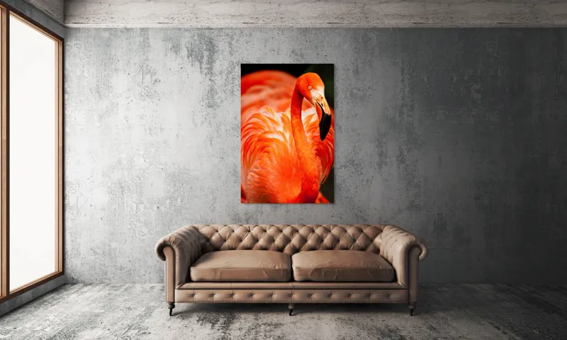 Tablou Canvas, "Grandoarea flamingoului în culori vii", Pene, Portocaliu, Flamingo, Vibrant, Elegant, Grațios, Contrast, Fauna, Natură, Frumusețe, 100 x 150 cm – poza 6