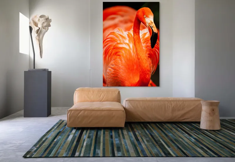 Tablou Canvas, "Grandoarea flamingoului în culori vii", Pene, Portocaliu, Flamingo, Vibrant, Elegant, Grațios, Contrast, Fauna, Natură, Frumusețe, 100 x 150 cm – poza 7