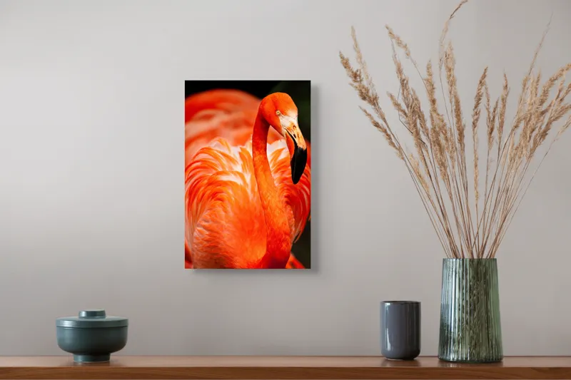 Tablou Canvas, "Grandoarea flamingoului în culori vii", Pene, Portocaliu, Flamingo, Vibrant, Elegant, Grațios, Contrast, Fauna, Natură, Frumusețe, 26 x 39 cm – poza 5