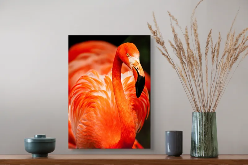 Tablou Canvas, "Grandoarea flamingoului în culori vii", Pene, Portocaliu, Flamingo, Vibrant, Elegant, Grațios, Contrast, Fauna, Natură, Frumusețe, 39 x 54 cm – poza 3