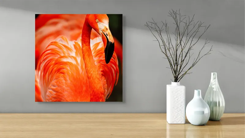 Tablou Canvas, "Grandoarea flamingoului în culori vii", Pene, Portocaliu, Flamingo, Vibrant, Elegant, Grațios, Contrast, Fauna, Natură, Frumusețe, 50 x 50 cm – poza 3