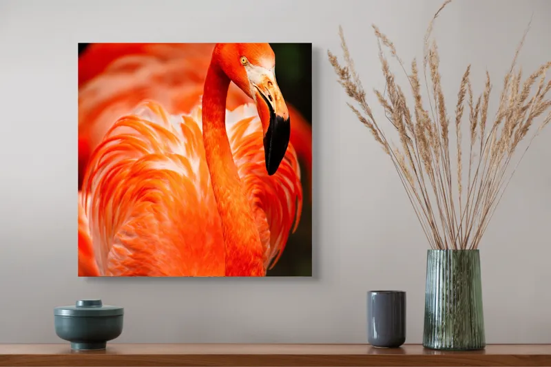 Tablou Canvas, "Grandoarea flamingoului în culori vii", Pene, Portocaliu, Flamingo, Vibrant, Elegant, Grațios, Contrast, Fauna, Natură, Frumusețe, 50 x 50 cm – poza 4